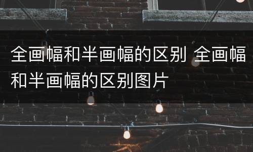 全画幅和半画幅的区别 全画幅和半画幅的区别图片