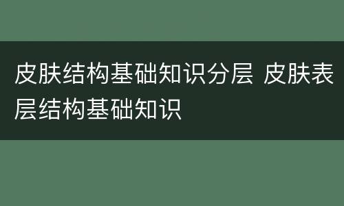 皮肤结构基础知识分层 皮肤表层结构基础知识