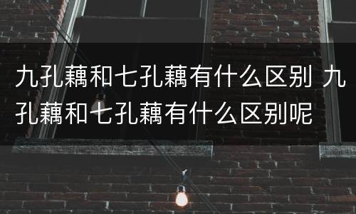 九孔藕和七孔藕有什么区别 九孔藕和七孔藕有什么区别呢