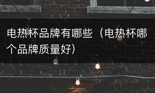 电热杯品牌有哪些（电热杯哪个品牌质量好）