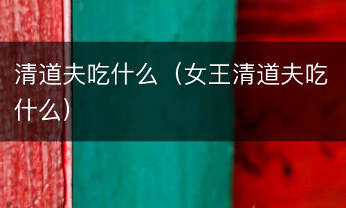 清道夫吃什么（女王清道夫吃什么）