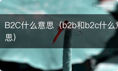 B2C什么意思（b2b和b2c什么意思）