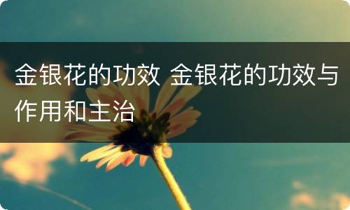 金银花的功效 金银花的功效与作用和主治