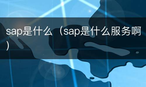 sap是什么（sap是什么服务啊）