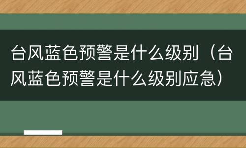 台风蓝色预警是什么级别（台风蓝色预警是什么级别应急）