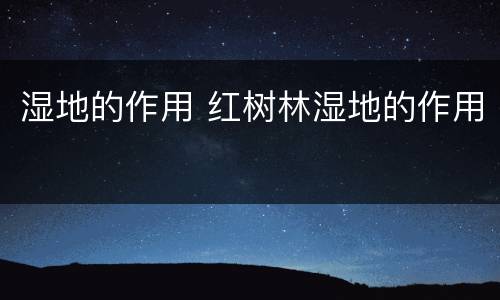 湿地的作用 红树林湿地的作用