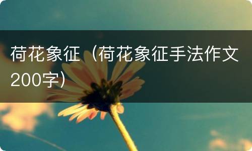 荷花象征（荷花象征手法作文200字）