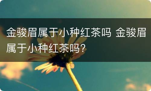 金骏眉属于小种红茶吗 金骏眉属于小种红茶吗?