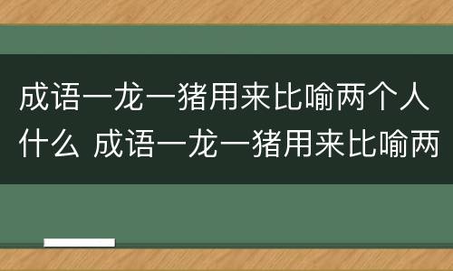 成语一龙一猪用来比喻两个人什么 成语一龙一猪用来比喻两个人什么意思