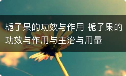 栀子果的功效与作用 栀子果的功效与作用与主治与用量