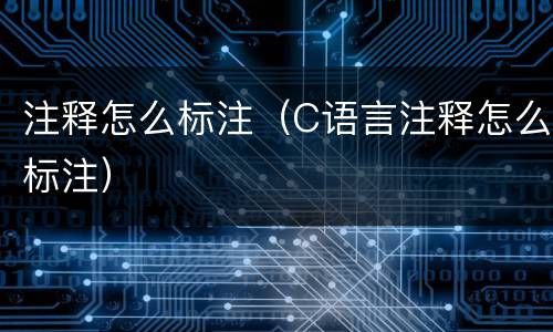 注释怎么标注（C语言注释怎么标注）