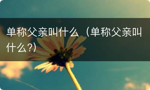 单称父亲叫什么（单称父亲叫什么?）