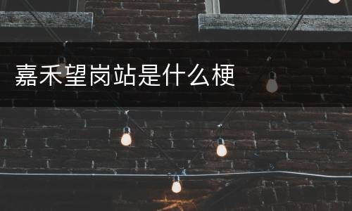 嘉禾望岗站是什么梗