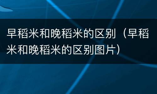 早稻米和晚稻米的区别（早稻米和晚稻米的区别图片）