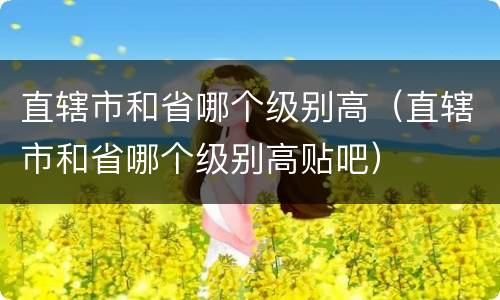 直辖市和省哪个级别高（直辖市和省哪个级别高贴吧）
