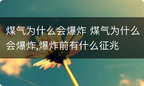 煤气为什么会爆炸 煤气为什么会爆炸,爆炸前有什么征兆