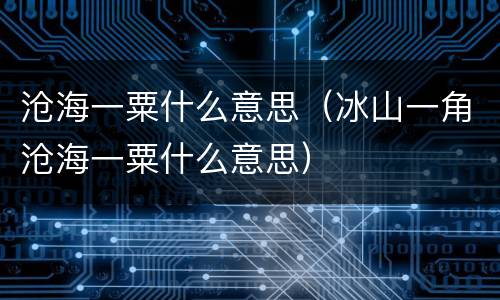 沧海一粟什么意思（冰山一角沧海一粟什么意思）