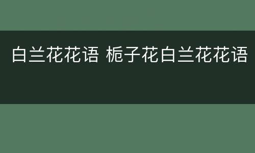 白兰花花语 栀子花白兰花花语