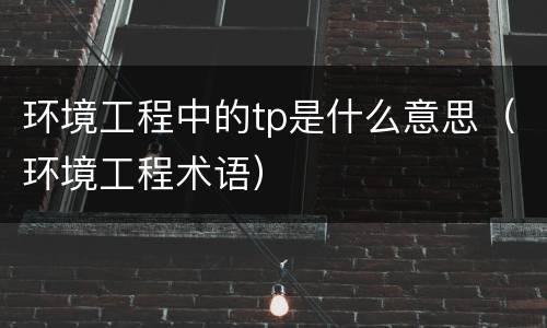 环境工程中的tp是什么意思（环境工程术语）