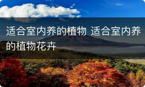 适合室内养的植物 适合室内养的植物花卉