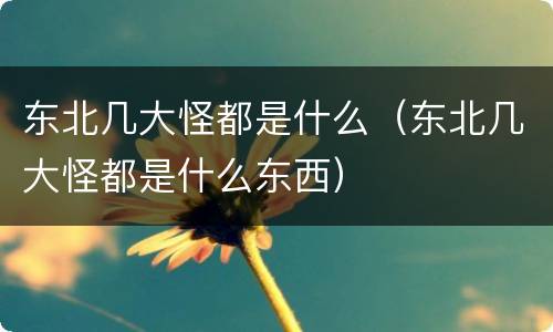 东北几大怪都是什么（东北几大怪都是什么东西）