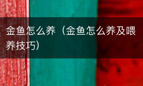 金鱼怎么养（金鱼怎么养及喂养技巧）
