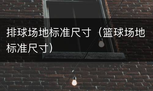 排球场地标准尺寸（篮球场地标准尺寸）