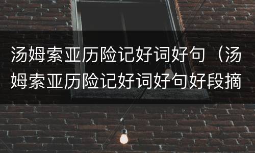 汤姆索亚历险记好词好句（汤姆索亚历险记好词好句好段摘抄）