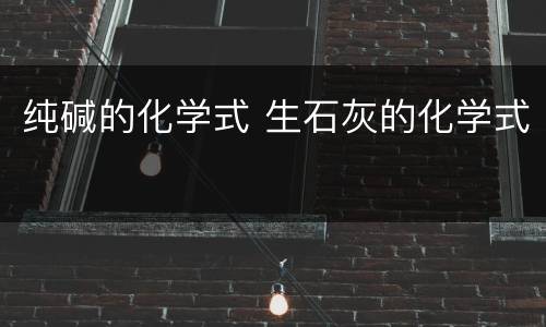 纯碱的化学式 生石灰的化学式