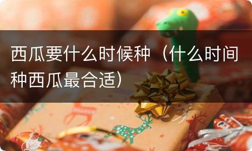 西瓜要什么时候种（什么时间种西瓜最合适）