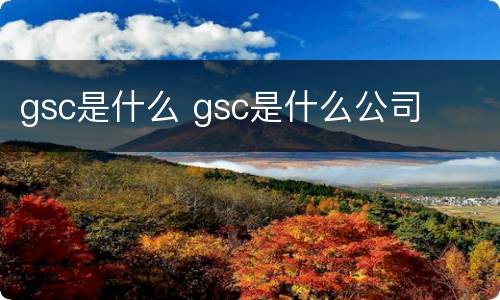 gsc是什么 gsc是什么公司