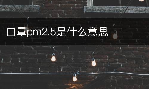 口罩pm2.5是什么意思
