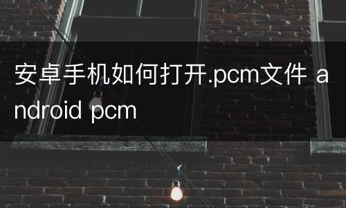 安卓手机如何打开.pcm文件 android pcm