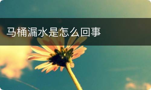 马桶漏水是怎么回事