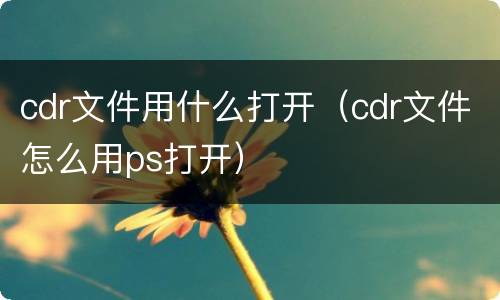 cdr文件用什么打开（cdr文件怎么用ps打开）