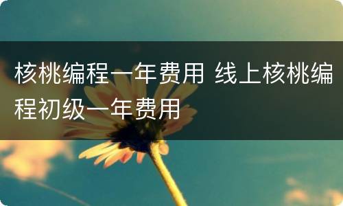 核桃编程一年费用 线上核桃编程初级一年费用