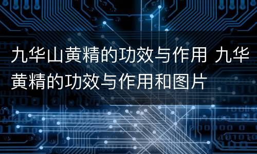 九华山黄精的功效与作用 九华黄精的功效与作用和图片