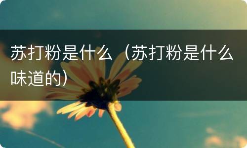 苏打粉是什么（苏打粉是什么味道的）
