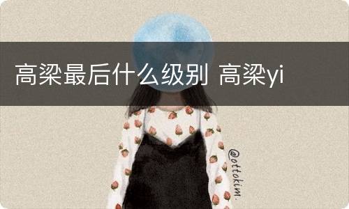 高梁最后什么级别 高梁yi