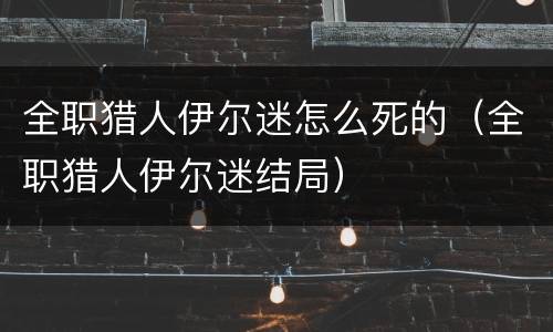 全职猎人伊尔迷怎么死的（全职猎人伊尔迷结局）