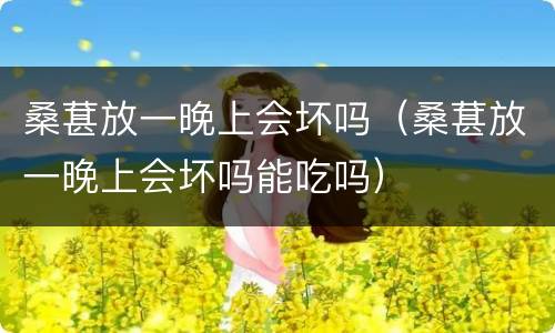 桑葚放一晚上会坏吗（桑葚放一晚上会坏吗能吃吗）