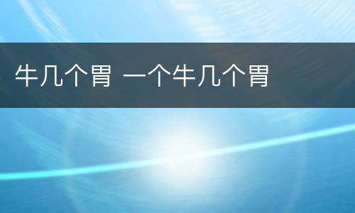 牛几个胃 一个牛几个胃