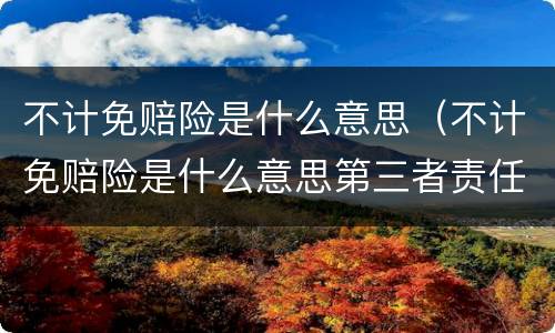 不计免赔险是什么意思（不计免赔险是什么意思第三者责任险）