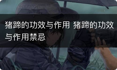 猪蹄的功效与作用 猪蹄的功效与作用禁忌