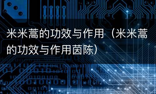 米米蒿的功效与作用（米米蒿的功效与作用茵陈）