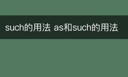 such的用法 as和such的用法