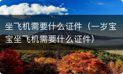 坐飞机需要什么证件（一岁宝宝坐飞机需要什么证件）