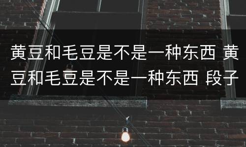 黄豆和毛豆是不是一种东西 黄豆和毛豆是不是一种东西 段子