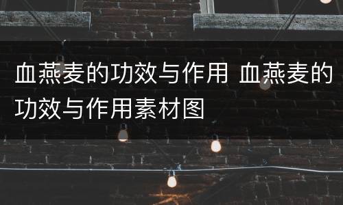 血燕麦的功效与作用 血燕麦的功效与作用素材图