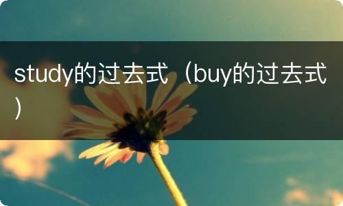 study的过去式（buy的过去式）